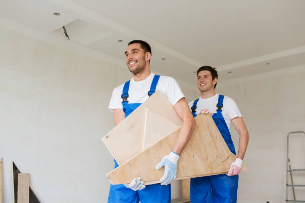 Best Basement Cleanout  in Farmington, IL