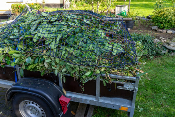  Farmington, IL Junk Removal Services Pros